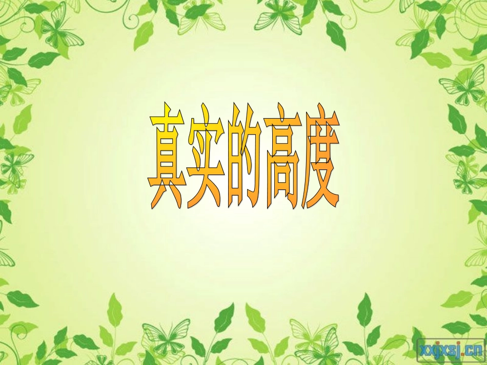 真实的高度01_第2页