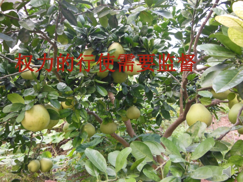 政府的权力需要监督（35张PPT)_第1页