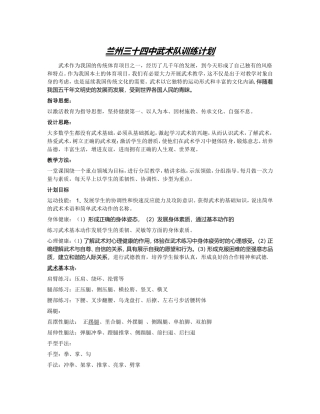 武术训练计划