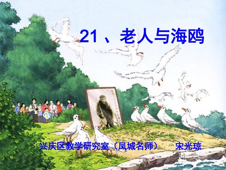 老人与海鸥(讲课)_第1页