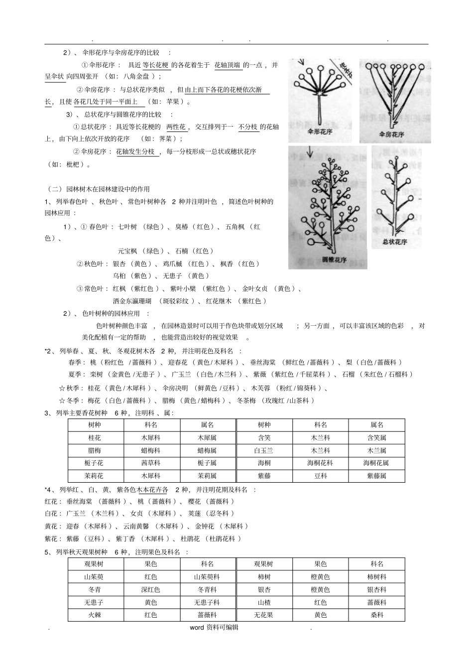 树木学知识整理_第2页