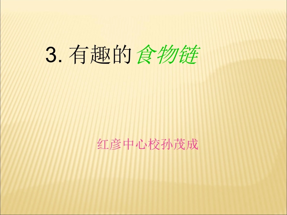 《有趣的食物链》_第1页