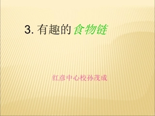 《有趣的食物链》