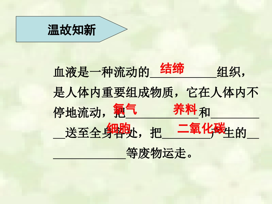 血流的管道——血管_第2页