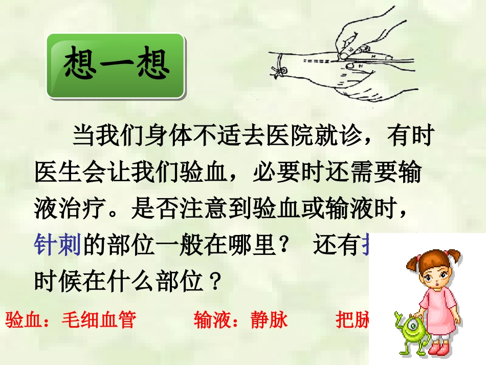 血流的管道——血管_第3页