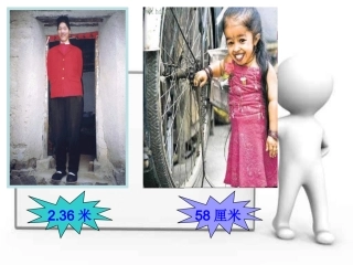 人体的激素调节