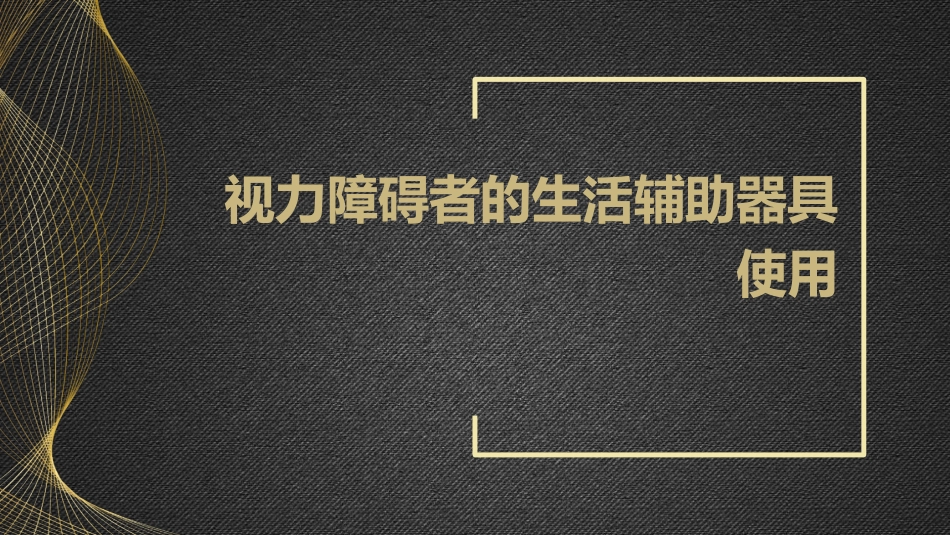视力障碍者的生活辅助器具使用_第1页