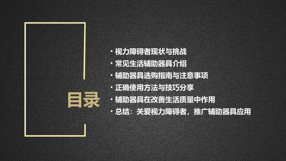 视力障碍者的生活辅助器具使用_第2页
