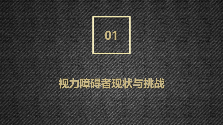 视力障碍者的生活辅助器具使用_第3页