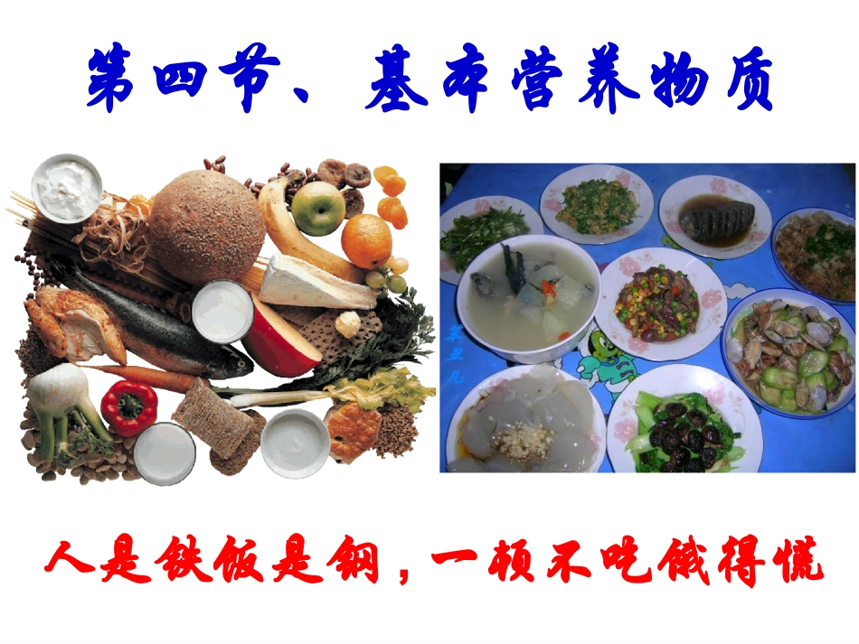 基本营养物质_第1页