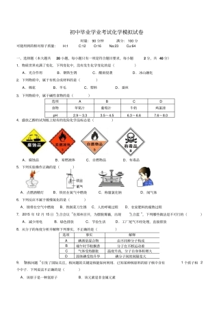 株洲六中2016年中考化学模拟试卷