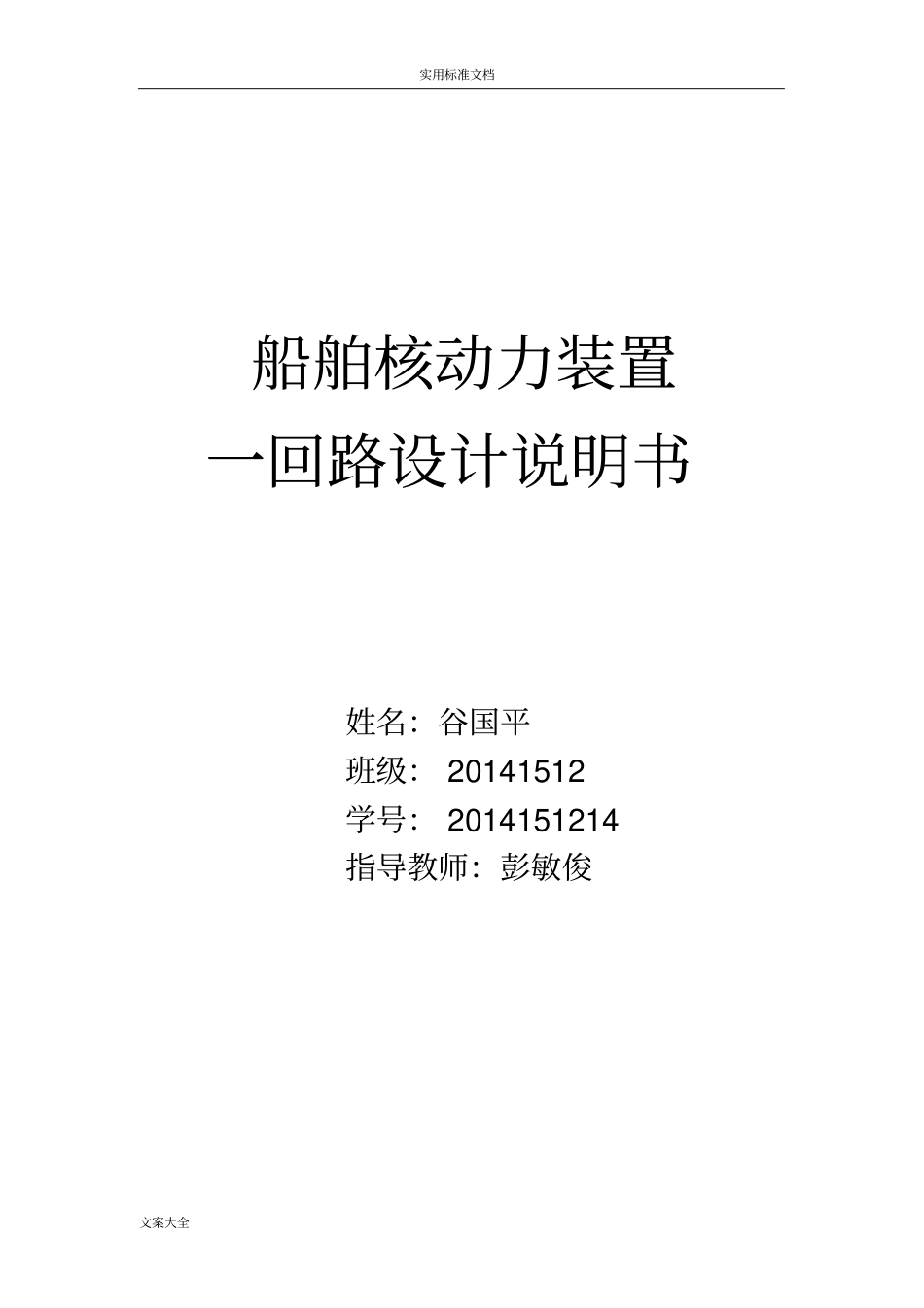 核动力设置一回路系统设计说明书_第1页