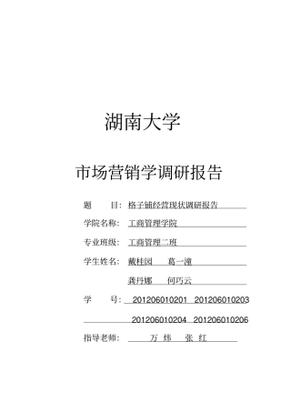 格子铺场营销报告