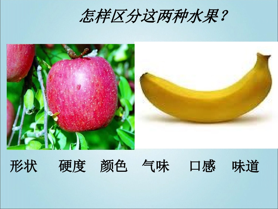 《第1节遗传和变异现象》课件2_第2页