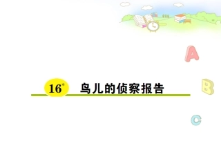 鸟儿的侦察报告 (4)