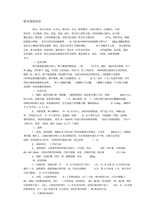 桤木栽培技术