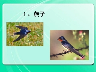 三下语《燕子》课件