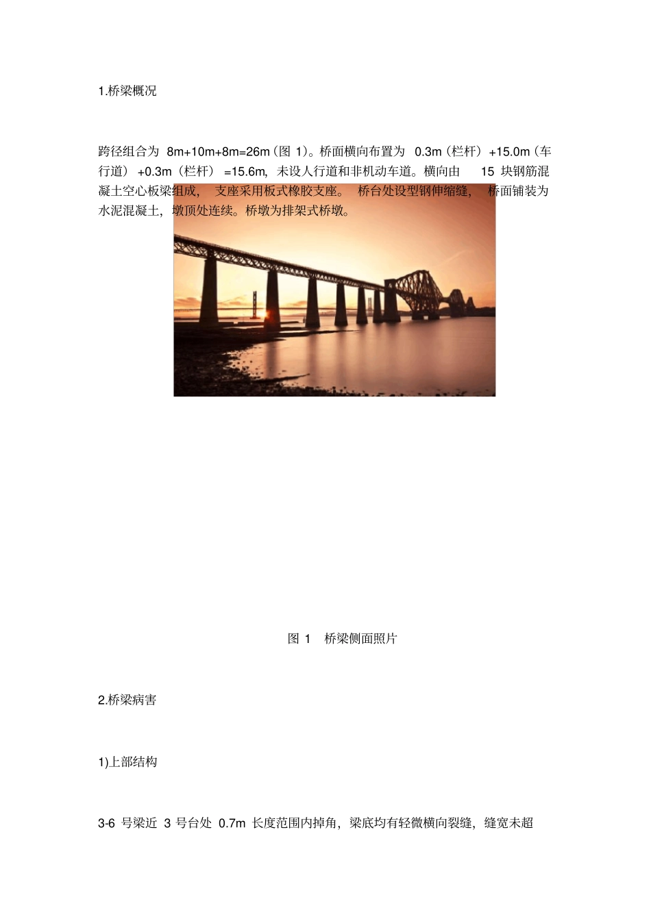 桥梁技术状况评定报告模板_第1页