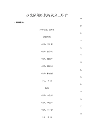 少先队组织机构及分工职责
