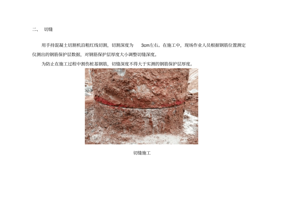 桩头环切施工工艺解读_第2页