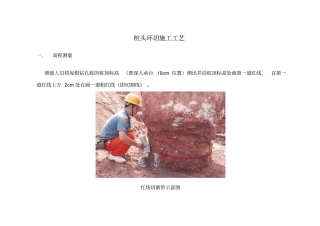 桩头环切施工工艺解读