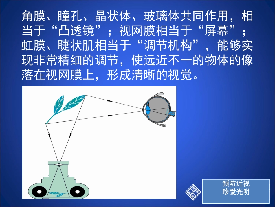 眼睛和眼镜课件_第3页