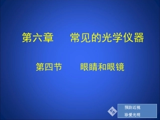 眼睛和眼镜课件