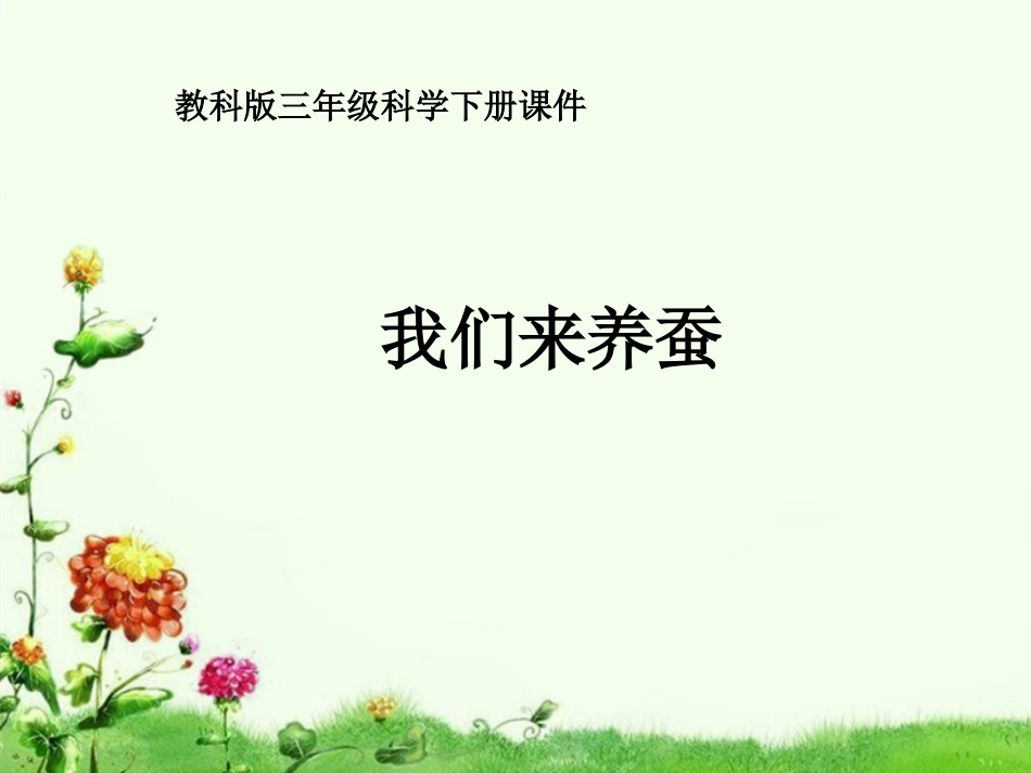 蚕的生长变化课件_第1页