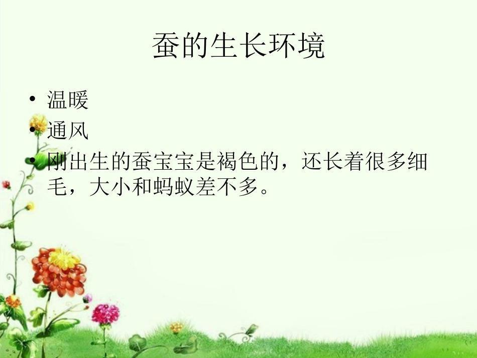 蚕的生长变化课件_第3页