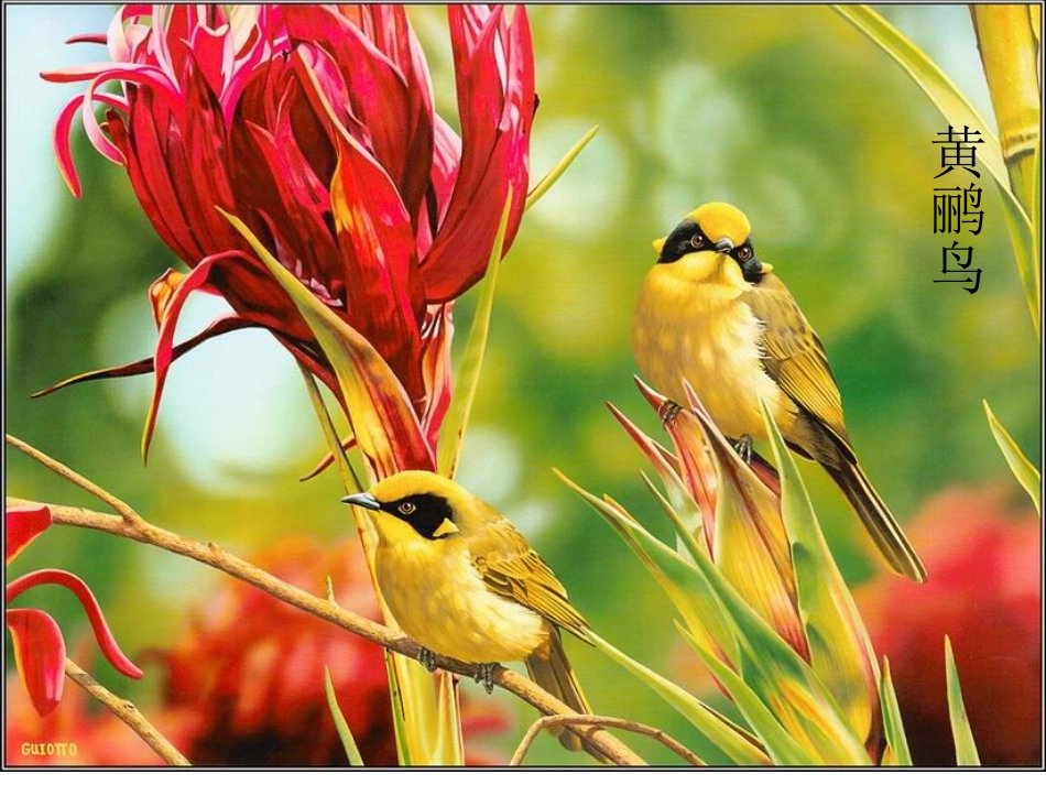 讲课教案_蜗牛与黄鹂鸟[1]_第3页