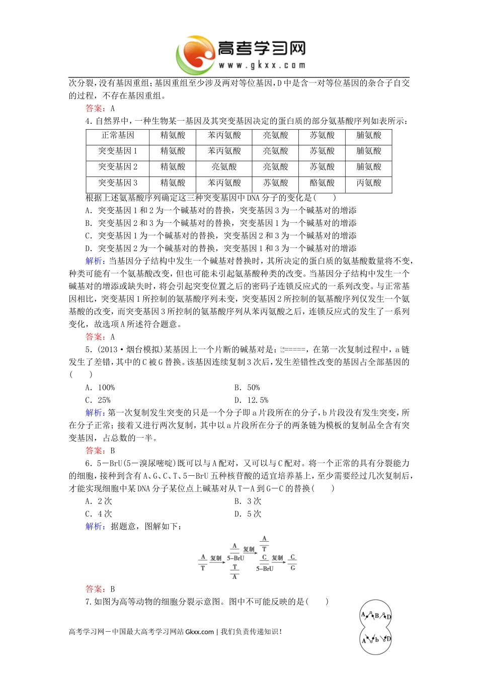 基因突变和基因重组_第2页