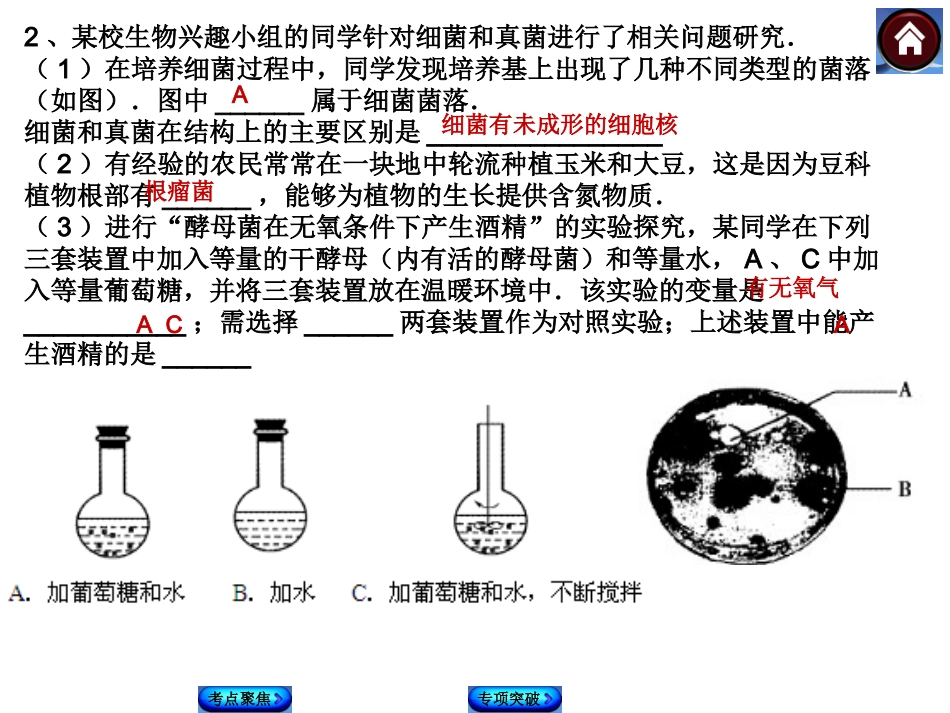 八年级上册实验探究复习_第3页