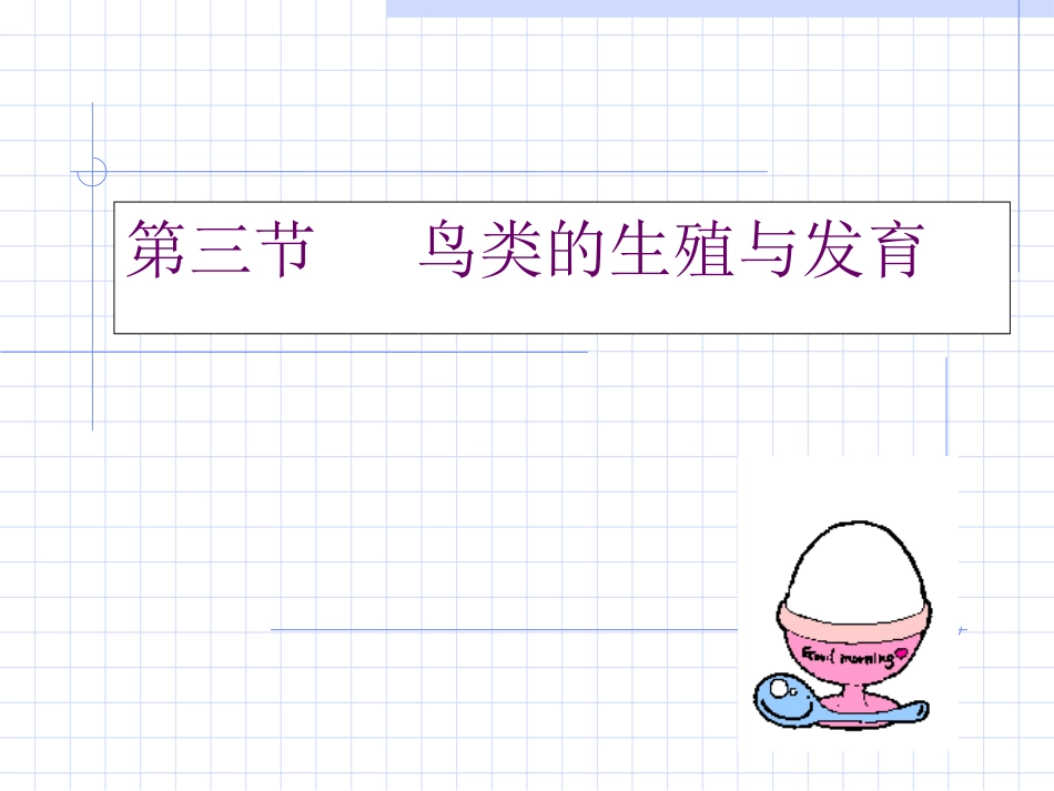 鸟类的生殖和发育_第1页