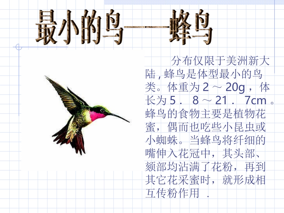 鸟类的生殖和发育_第2页