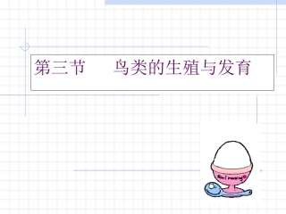 鸟类的生殖和发育