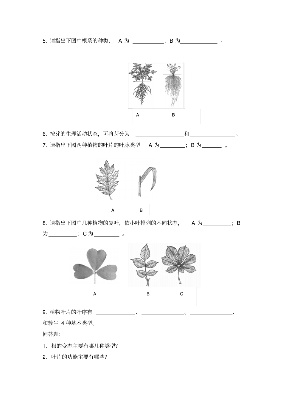 植物与植物生理学各章习题综述_第2页