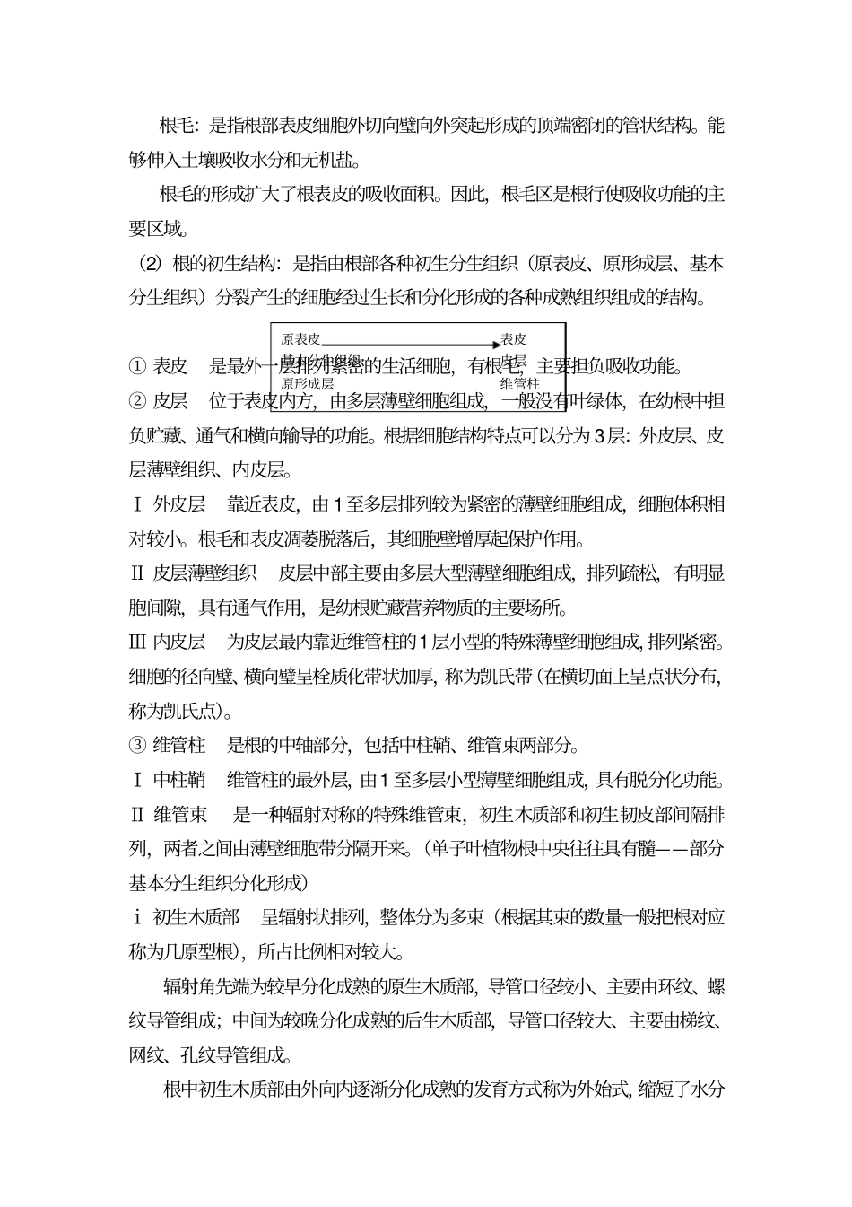 植物生物学3_第3页
