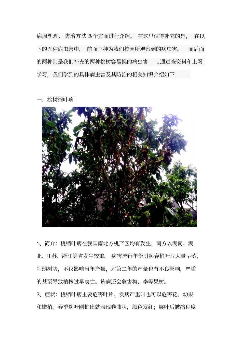 植物病理学论文分析_第2页