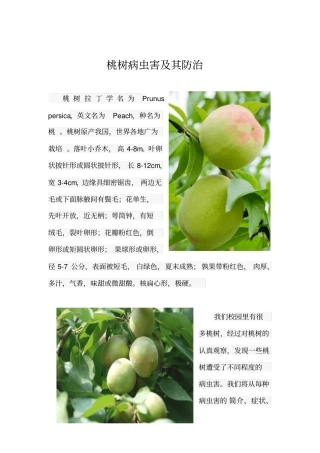植物病理学论文分析