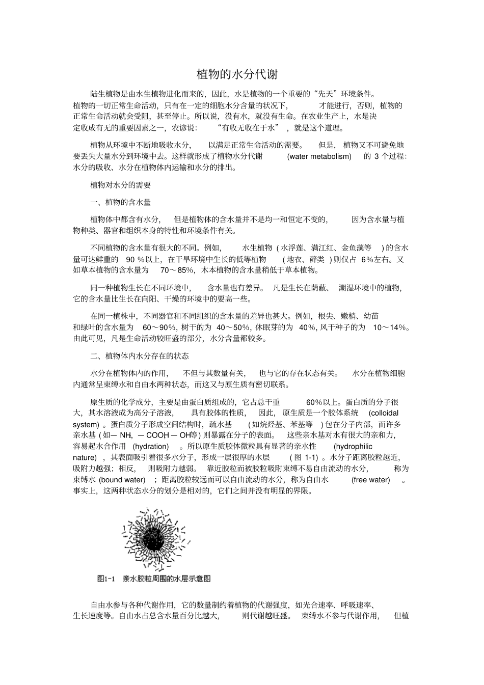 植物的水分代谢分析_第1页