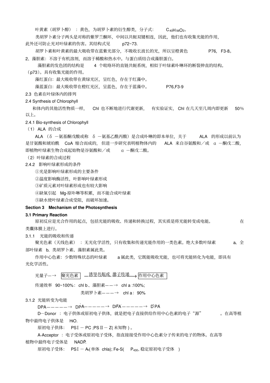 植物的光合作用_第3页