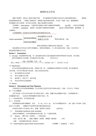 植物的光合作用