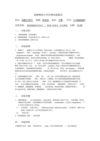 植物细胞程序性死亡PCD的诱导、形态观察