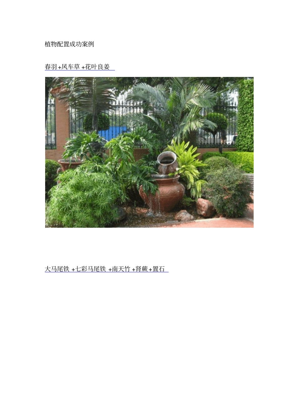 植物配置成功案例_第1页