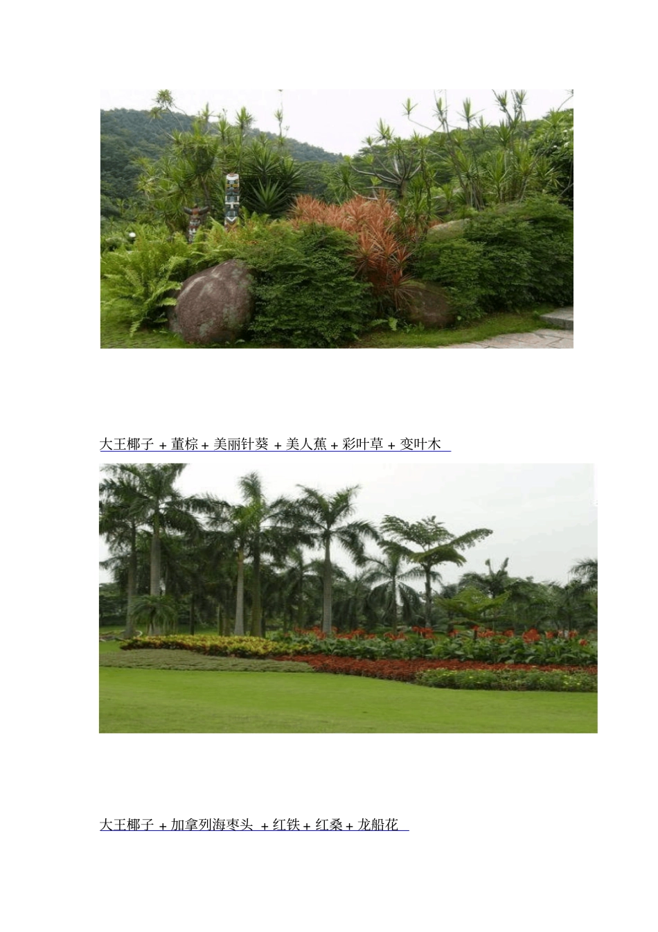 植物配置成功案例_第2页