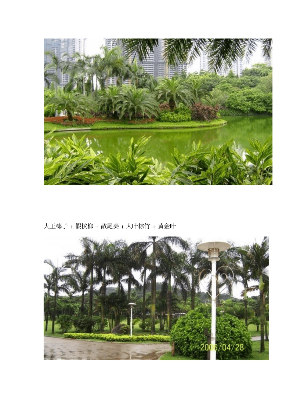 植物配置成功案例_第3页