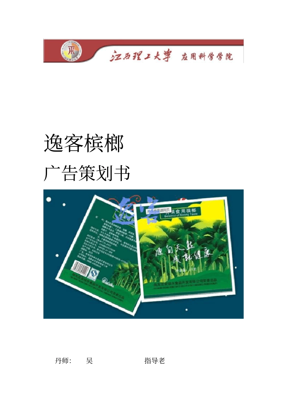 槟榔营销策划书_第1页