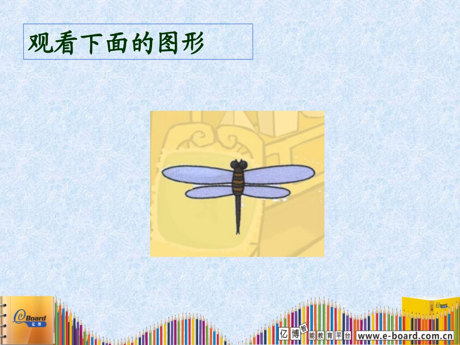 观察物体 (6)_第3页