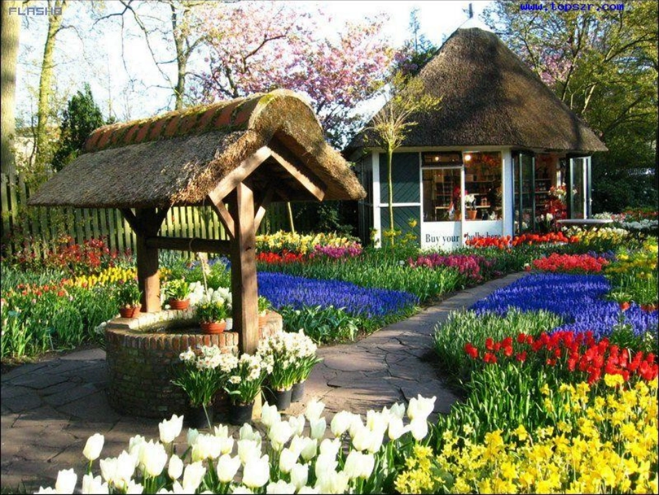 触摸春天 (4)_第2页