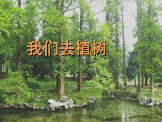 一年级下语文课件-我们去植树-教科版